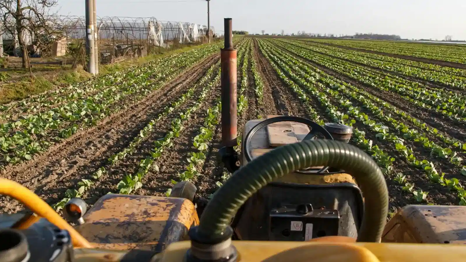 A farm field viewed from a tractor, representing agriculture and environmental services.