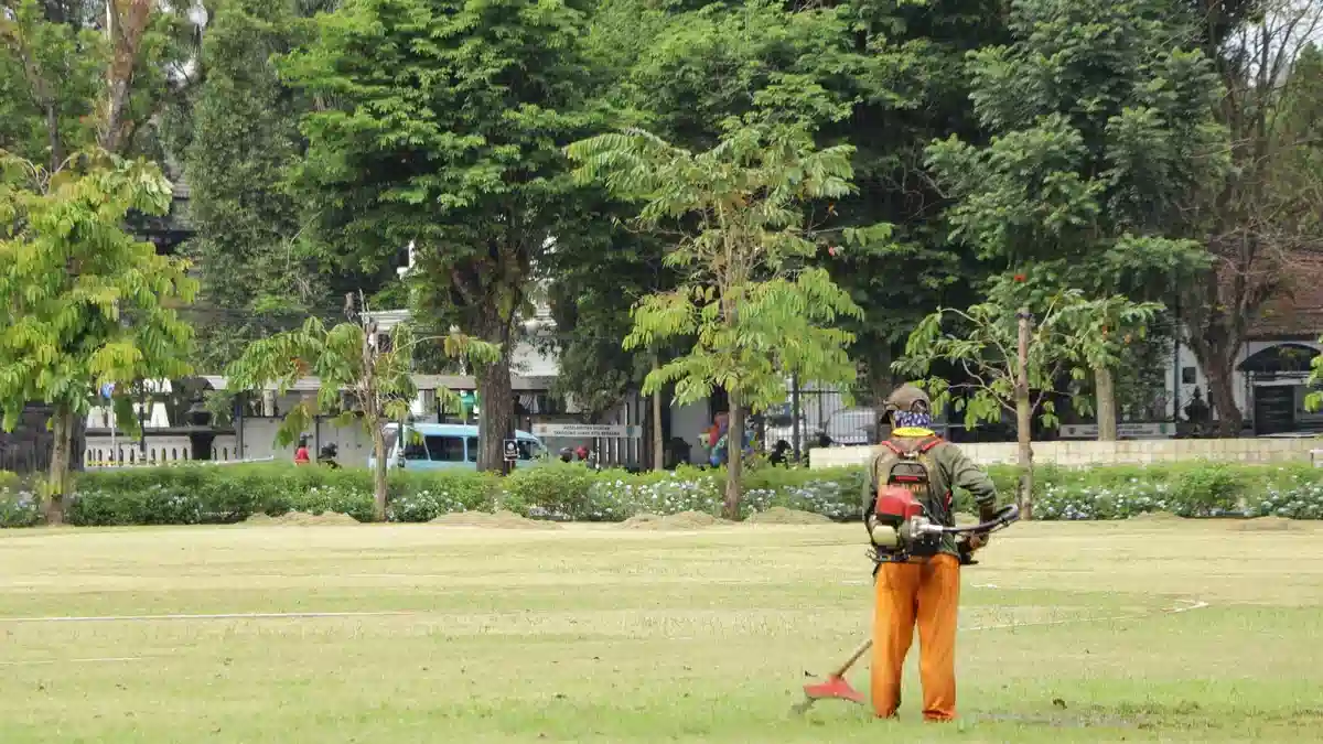 Lawn Mowing