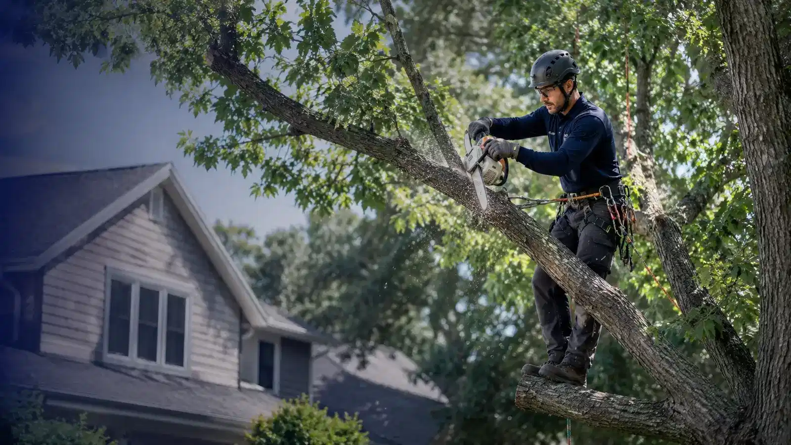 Tree Trimming & Removal home services
